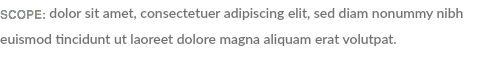 SCOPE: dolor sit amet, consectetuer adipiscing elit, sed diam nonummy nibh euismod tincidunt ut laoreet dolore magna aliquam erat volutpat. 