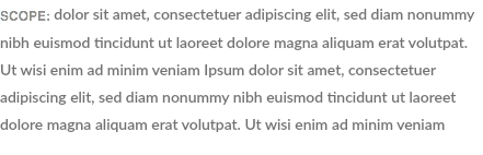 SCOPE: dolor sit amet, consectetuer adipiscing elit, sed diam nonummy nibh euismod tincidunt ut laoreet dolore magna aliquam erat volutpat. Ut wisi enim ad minim veniam Ipsum dolor sit amet, consectetuer adipiscing elit, sed diam nonummy nibh euismod tincidunt ut laoreet dolore magna aliquam erat volutpat. Ut wisi enim ad minim veniam 