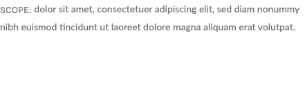 SCOPE: dolor sit amet, consectetuer adipiscing elit, sed diam nonummy nibh euismod tincidunt ut laoreet dolore magna aliquam erat volutpat. 