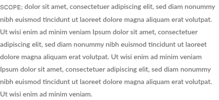 SCOPE: dolor sit amet, consectetuer adipiscing elit, sed diam nonummy nibh euismod tincidunt ut laoreet dolore magna aliquam erat volutpat. Ut wisi enim ad minim veniam Ipsum dolor sit amet, consectetuer adipiscing elit, sed diam nonummy nibh euismod tincidunt ut laoreet dolore magna aliquam erat volutpat. Ut wisi enim ad minim veniam Ipsum dolor sit amet, consectetuer adipiscing elit, sed diam nonummy nibh euismod tincidunt ut laoreet dolore magna aliquam erat volutpat. Ut wisi enim ad minim veniam.